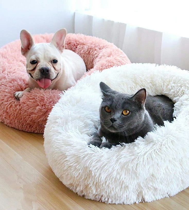 Cama Antiestrés Para Mascotas