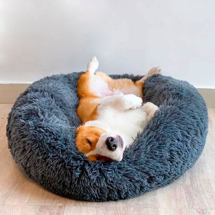 Cama Antiestrés Para Mascotas